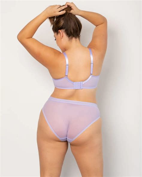 Sheer Mesh Unlined Underwire Bra Lavender Mist Chérie Amour