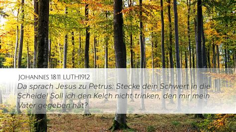 Johannes 18 11 LUTH1912 Desktop Wallpaper Da Sprach Jesus Zu Petrus