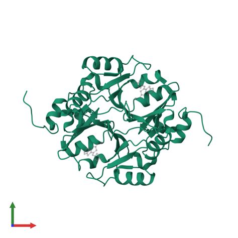 Pdb Wt Gallery Protein Data Bank In Europe Pdbe Embl Ebi