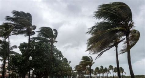 Alerte météo Fortes rafales de vent lundi et mardi dans plusieurs