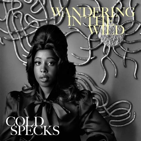 Cold Specks Wandering In The Wild Lyrics Genius Lyrics