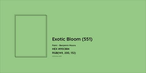 Benjamin Moore Exotic Bloom Paint Color Codes Similar Paints And