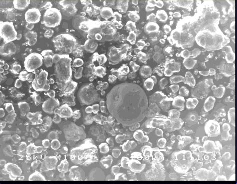 46 Scan Electron Of Zeolite Pt Hy Download Scientific Diagram