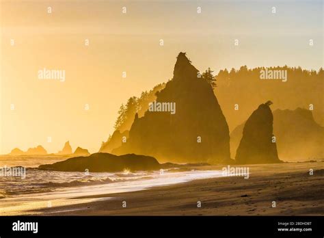 Sunset Among The Sea Stacks On Rialto Beach In Olympic National Park