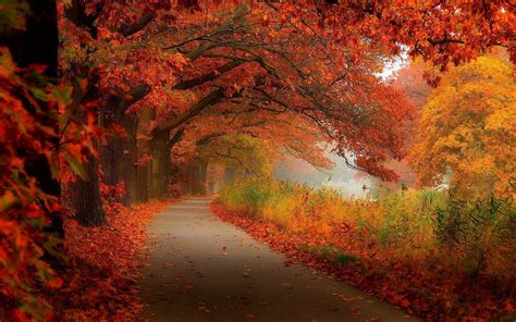 Fall Scenery Desktop Backgrounds Hd Pixelstalknet