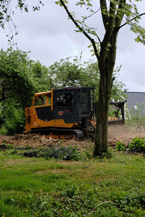 Photos Espace Vert Professionnel Bois Environnement Services