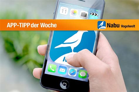 App Tipp Nabu Vogelwelt V Gel Entdecken Und Bestimmen Tirol