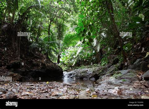 Choco colombia hi-res stock photography and images - Alamy