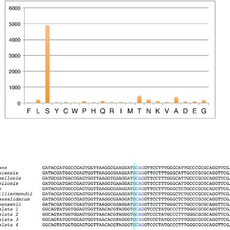 Pdf Genome Analysis Of The Yeast Diutina Catenulata A Member Of The