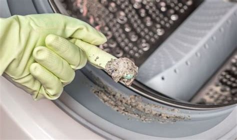 How To Clean Rubber Seal On Washing Machine Uk