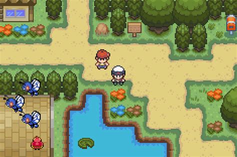 Pok Mon Hoenn Adventures Whack A Hack