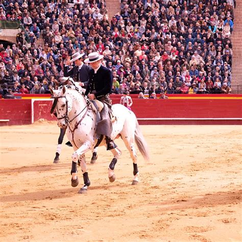 Valencia Bullfight Tickets Valencia Bullring Spain