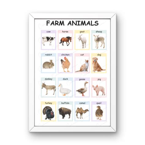 PASTEL FARM ANIMALS LAMINATED EDUCATIONAL LEARNING WALL Chart for Kids ...