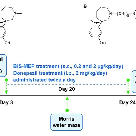 | Bis-(-)-nor-meptazinol (BIS-MEP) structure and experimental scheme ...