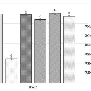 Effect Of Seed Priming With Sodium Nitroprusside Snp On Relative