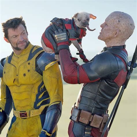 Sio Hornbuckle· The Wildest · The Wildest