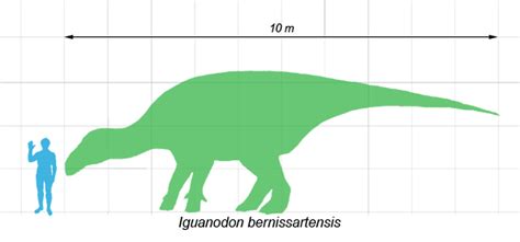 This misshapen pebble is actually the first dinosaur brain fossil ever found - Vox