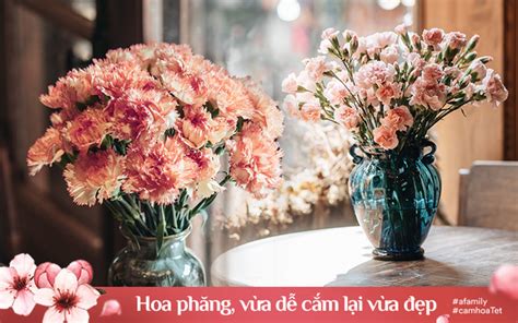 Những Mẫu đẹp Cho Cắm Hoa Phăng đẹp Trang Trí Nội Thất