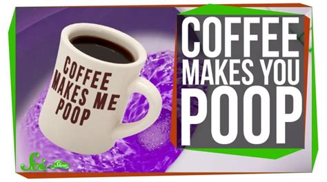 Why Does Coffee Make You Poop? - How Does It Work