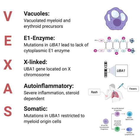 Vexas Syndrome A Newly Discovered Disease And A Call To Action