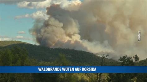 Waldbr Nde W Ten Auf Korsika Oe Tv