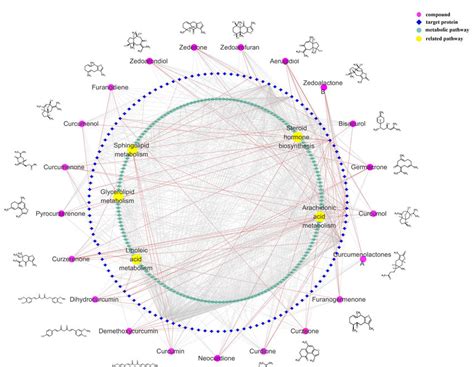 Compound Target Metabolic Pathway Network Compound Target Metabolic