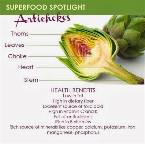 Do Artichokes Have Carbs