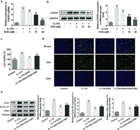 Dha Inhibits Il A Stimulated Hacat Cell Over Proliferation By