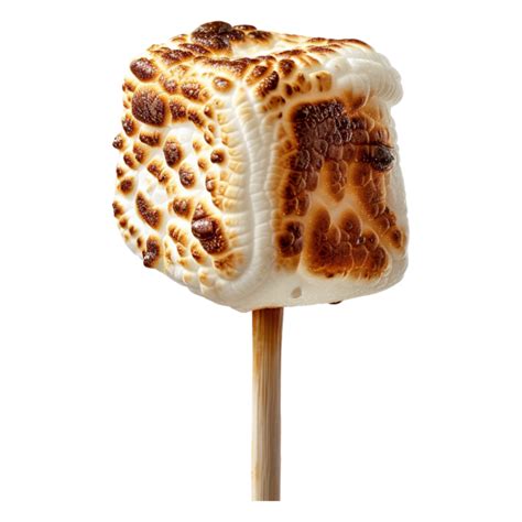 Roasted Marshmallow On Stick Alone Against Transparent Background