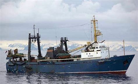 Fishy business: Heavy commercial fishing near Svalbard wreaking havoc ...