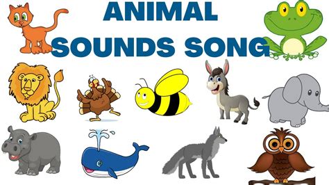 Animal Sound Animal Sounds For Kids