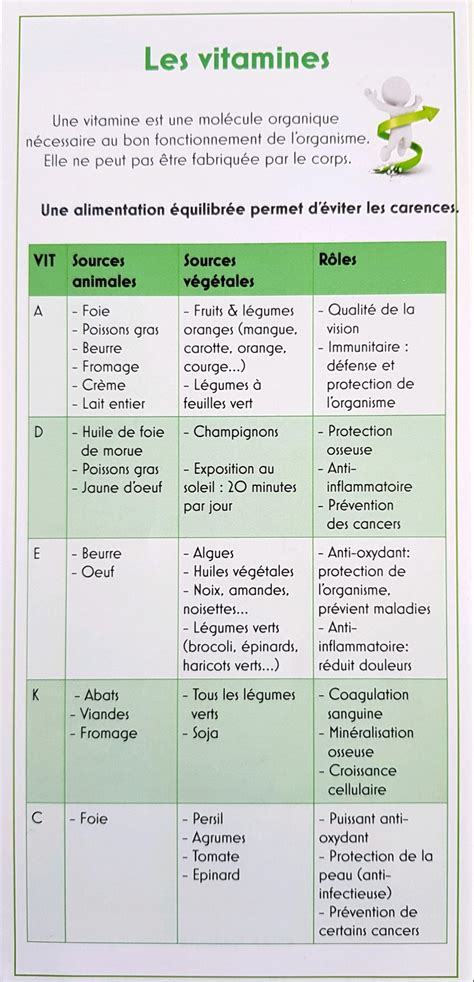 Le rôle des vitamines sur le bon fonctionnement de lorganisme Effets