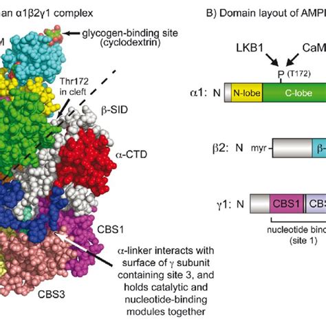 A Crystal Structure Based On Protein Data Bank File Rer And B