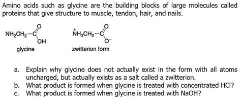 Solved Amino Acids Such As Glycine Are The Building Blocks Chegg