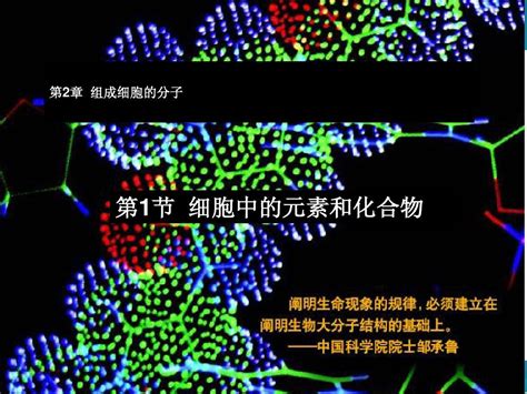 第二章第一节《细胞中的元素和化合物》ppt课件 Word文档在线阅读与下载无忧文档