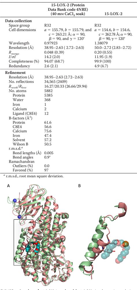 Figure 1 From The Structure Of Human 15 Lipoxygenase 2 With A Substrate