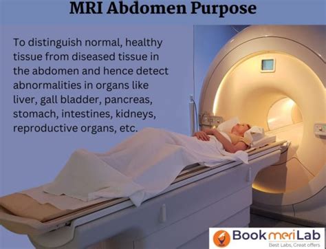 Mri Abdomen Price Purpose Preparation Results