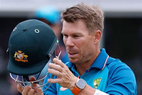 David Warner Australian Cricket Team In Hunt Of Test Opener Who Can