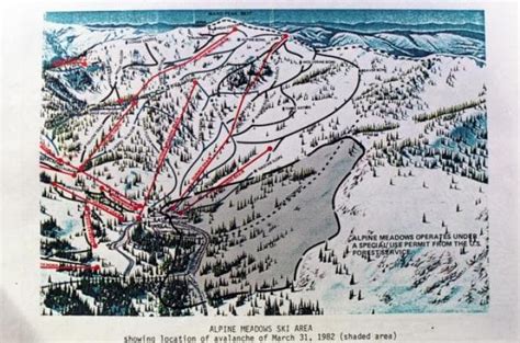 35 years since deadly Alpine Meadows avalanche - SnowBrains