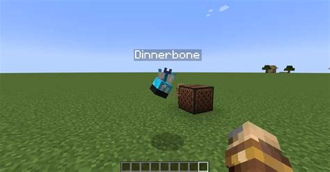 Dinnerbone Allay Optifine Required Minecraft Texture Pack