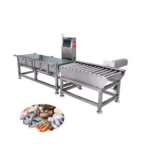 Automatic High Speed Dynamic Checkweigher Check Weigher Machine