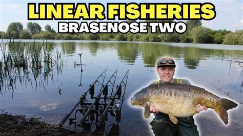 Catching Big Carp At Linear Fisheries Carp Fishing On Brasenose Two