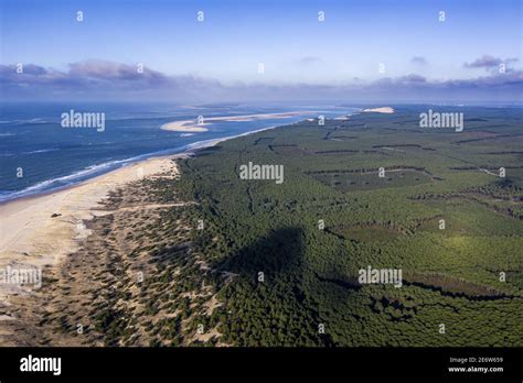 France Gironde Bassin D Arcachon La Teste De Buch Salie Beach