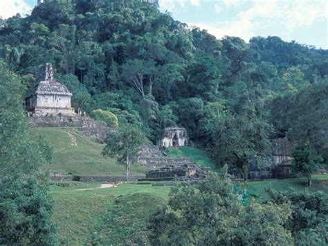 Celebran 41 Aniversario Del Parque Nacional Palenque