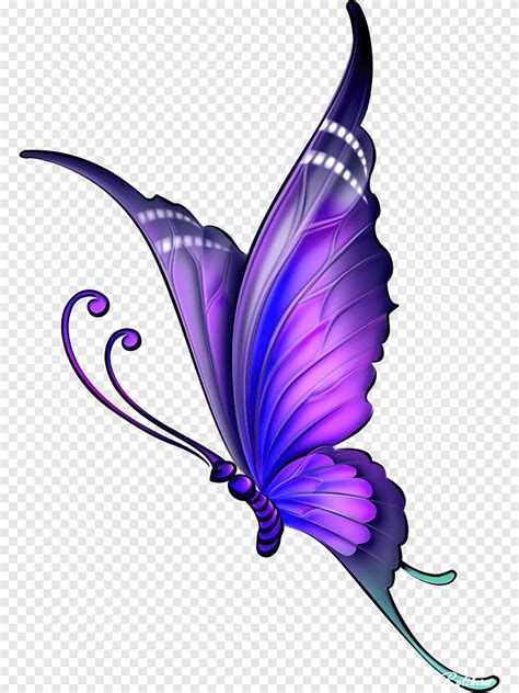 Artista Borboleta Borboleta Roxo Violeta Insetos Png Pngwing The Best