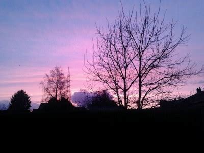 Post 186153298559 Aesthetic Ass Me Tumblr Tumbex