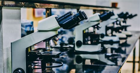 Mental Health Wellness DOPAMINE AND CHEMICAL DEPENDENCE PLAY A MAJOR ROLE IN SEX AND PORN ADDICTION