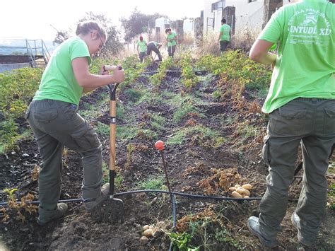 Escuela Profesional TentudÍa Xl Agricultura EcolÓgica Y Solidaridad