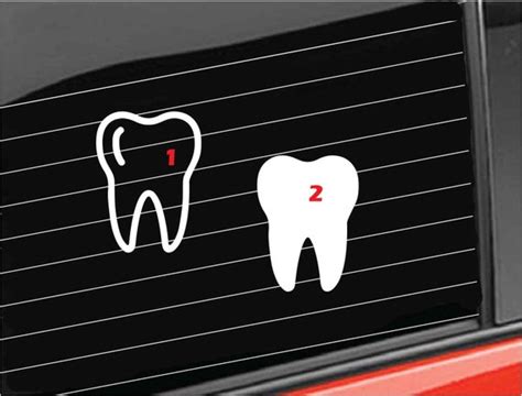 Tooth Vinyl Decal Teeth Vinyl Decal Dentist Tooth Vinyl | Etsy