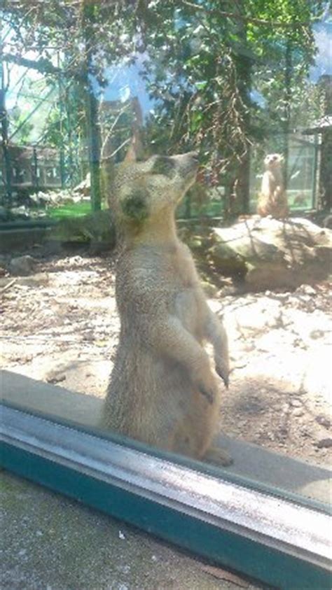 Belgrade Zoo - 2021 All You Need to Know BEFORE You Go (with Photos ...